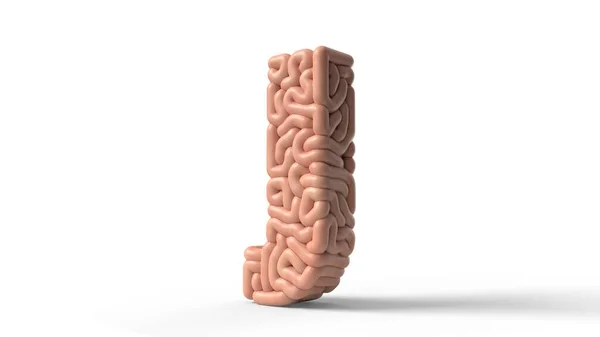Ανθρώπινος εγκέφαλος σε σχήμα γράμματος J. 3D εικονογράφηση — Φωτογραφία Αρχείου