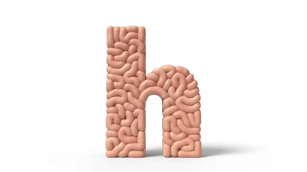 Human brain in shape of letter h. 3D illustration — Stock Photo, Image