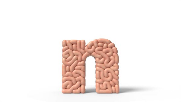 human brain in shape of letter n. 3D illustration