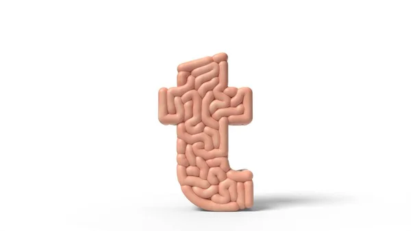 Human brain in shape of letter t. 3D illustration — 图库照片
