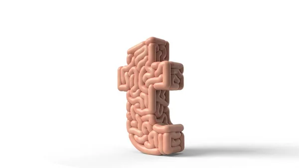 Cerveau humain en forme de lettre T. Illustration 3D — Photo