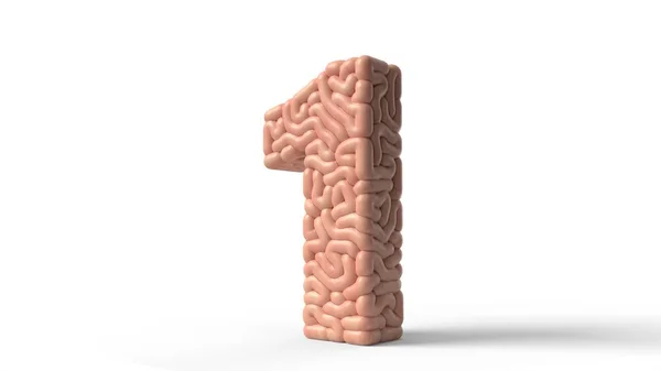 Human brain in shape of number 1. 3D illustration — 스톡 사진