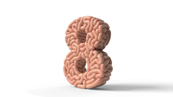 Human brain in shape of number 8. 3D illustration — 图库照片