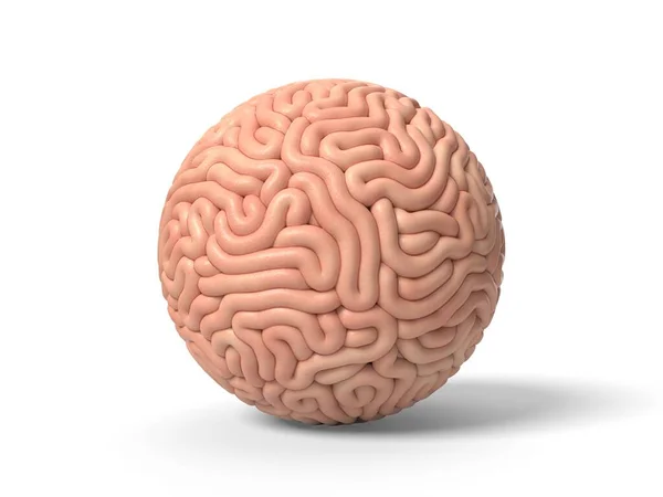 Human brain in shape of sphere. 3D illustration — 图库照片