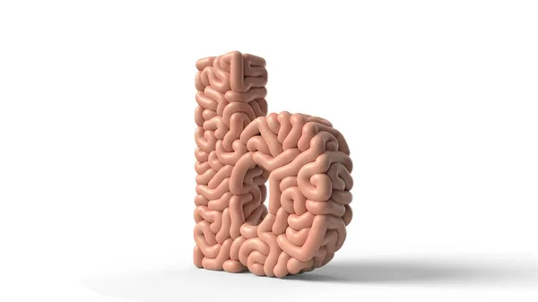 Human brain in shape of letter b. 3D illustration — 图库照片