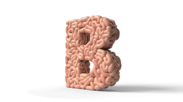 Human brain in shape of letter B. 3D illustration — 图库照片