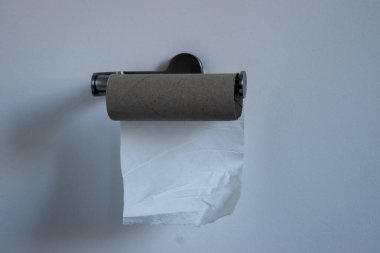 Tuvalet kağıdı bitti. Tuvalet kağıdı alımı, stoklama konsepti
