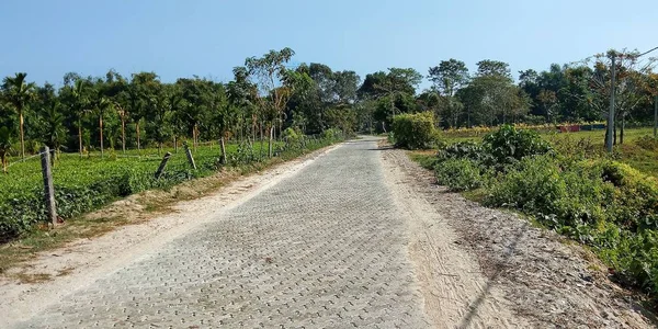 Hindistan 'da çay bahçesi olan boş köy yolu.