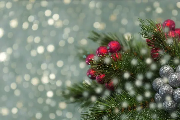 Ramo de árvore de Natal. Inverno fundo decoração — Fotografia de Stock