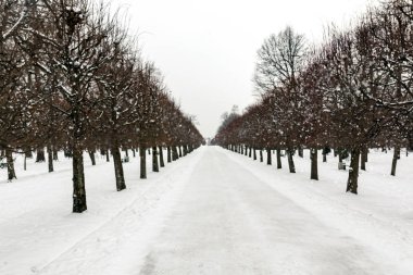 Karlı bir kış parkında yaya yolu