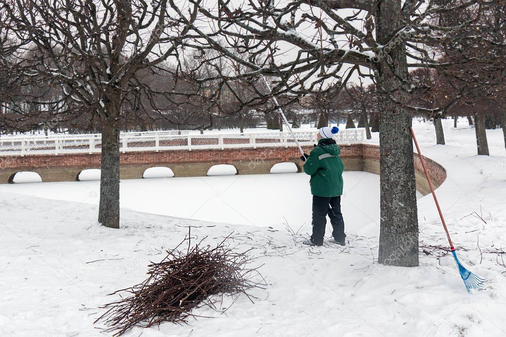 pruning trees by a gardener in a winter park