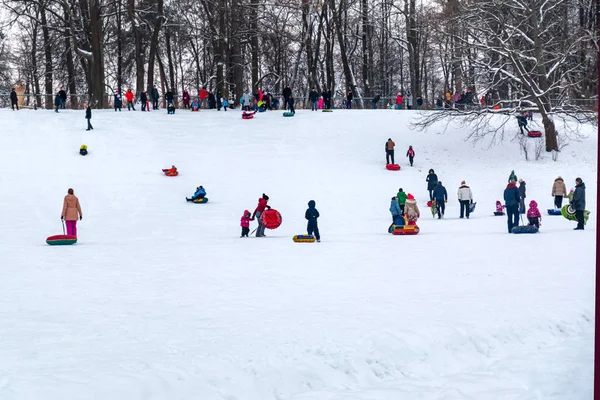 Birçok yetişkin ve çocuk kışın karda kayak yaparken eğlenir.