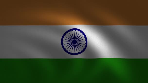 Indian Flag Zwaaien Lussen Digitale Weergave Met Behulp Van Officiële — Stockvideo