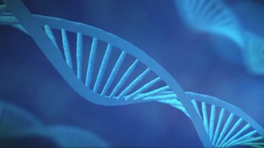 Kusursuz döngü ile karanlık zeminüzerinde soyut Dna 3d animasyon. Bilim animasyonu için genetik bilginin kavramsal tasarımı. Hologram mavi siyan dönen DNA çift sarkaç siyah arka plan üzerinde.