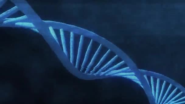 暗い背景アセンブリ上の抽象的なDnaの3Dアニメーション 科学アニメーションの遺伝情報の概念設計 ホログラム青輝く回転Dna黒の背景に二重らせん — ストック動画