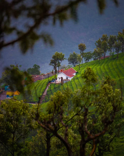 Çay evi ile Hindistan manzarası arasındaki tepe istasyonunda bir ev.