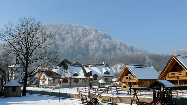 Yamaçtaki ağaçlar Hoarfrost tarafından esir tutuluyor.