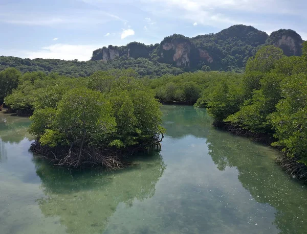 Phi Phi Adası 'ndaki Delta Nehri