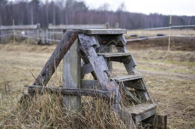Bir ata rahat sığmak için adımlar