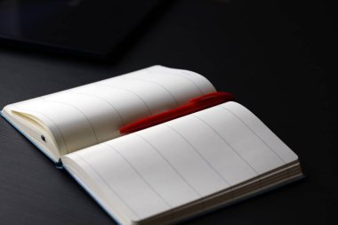 Masadaki günlük ve kalem, notlar ve planlar.