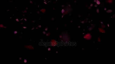 Gül yaprağı arka plan