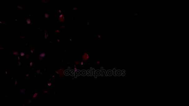 fond de feuille de rose 