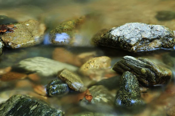 Roche dans le ruisseau — Photo