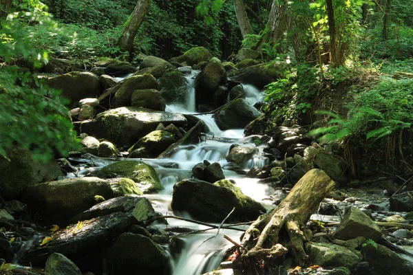 Uzun Fuar yakalama akarsu
