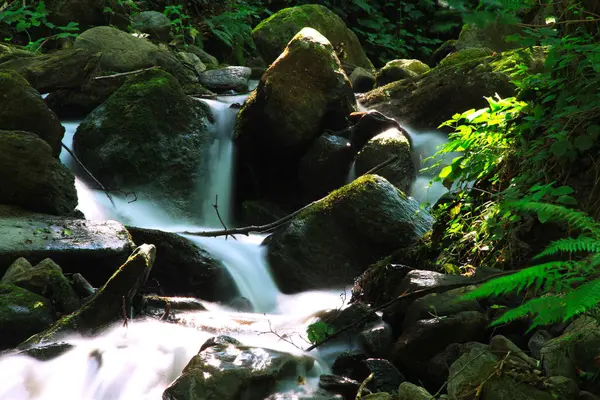 Streamen lange expositie vastleggen — Stockfoto