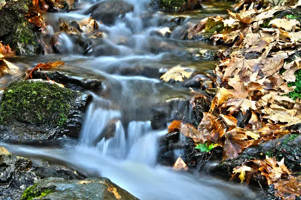 Stream Longa exposição captura — Fotografia de Stock