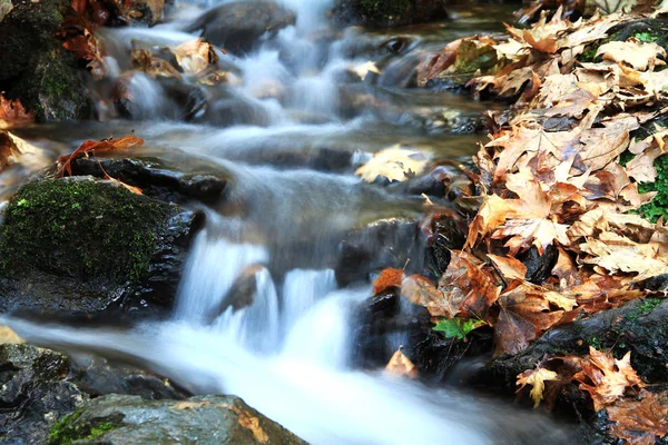 Stream Longa exposição captura — Fotografia de Stock