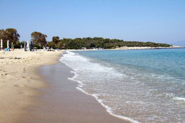 plaj ve tropikal deniz 