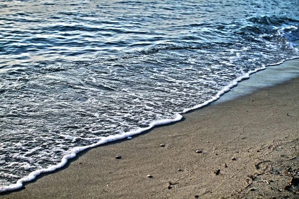 plaj ve tropikal deniz 