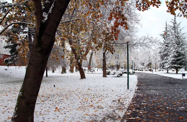 Сніг у парку — стокове фото