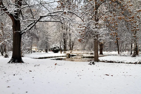 公園の雪 — ストック写真