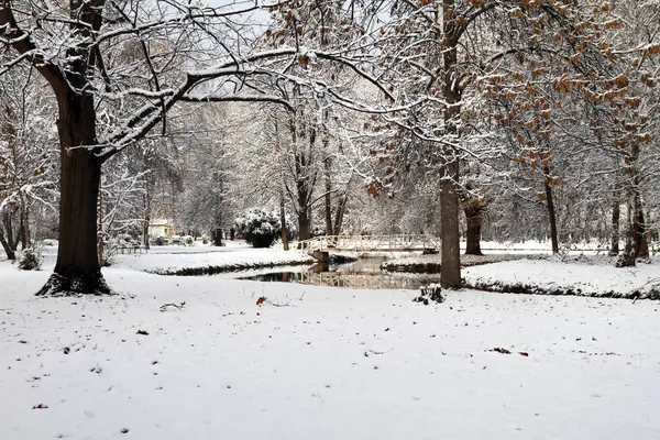 Snö i parken — Stockfoto