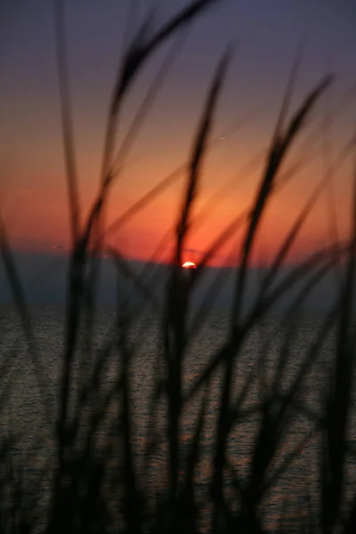 Or coucher de soleil herbe mer — Photo