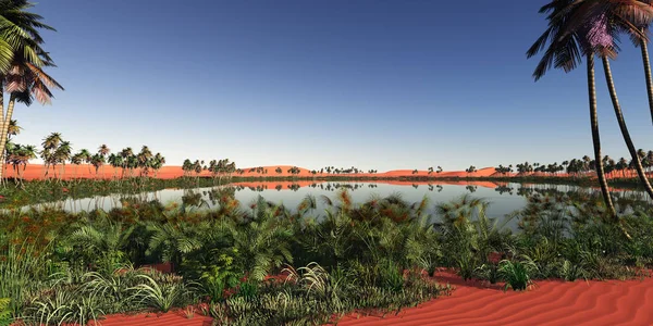 Oasis çölde panoramik