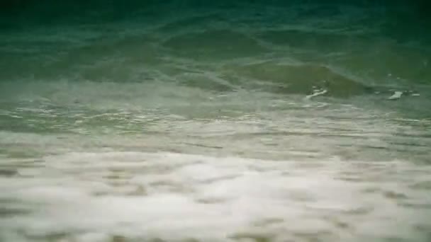 Vague de mer sur la plage 4k — Video