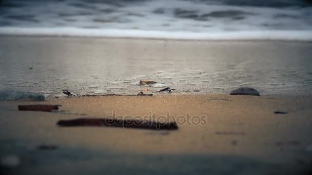 Ola de mar en la playa 4k — Vídeos de Stock