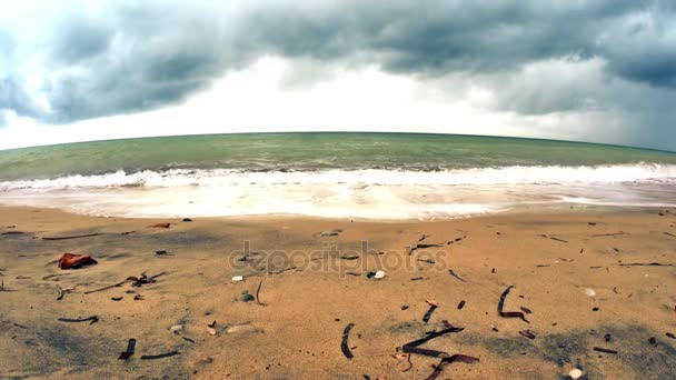 Морська хвиля на пляжі 4k — стокове відео