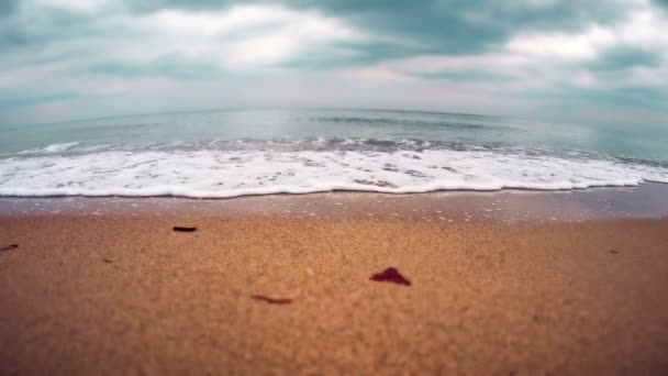 Ola de mar en la playa 4k — Vídeo de stock