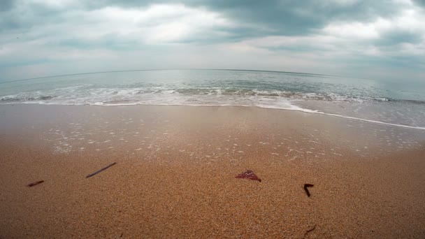 Sea wave on beach 4k — Stock Video