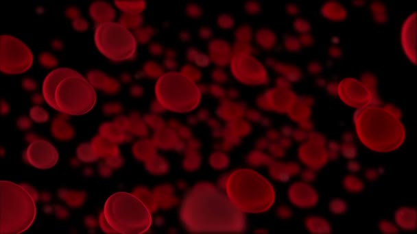 Rode bloedcellen macro — Stockvideo
