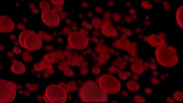 globules rouges macro 