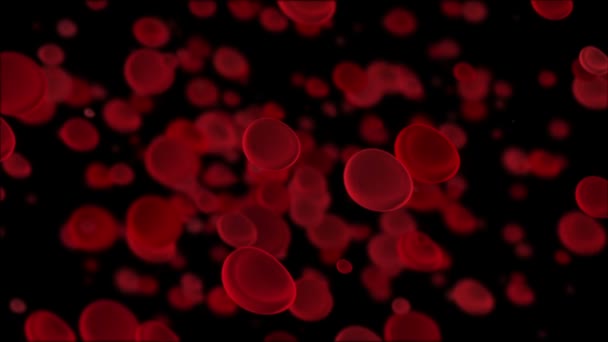 Blood cells red macro — Stock Video