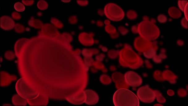 Blutkörperchen rotes Makro — Stockvideo