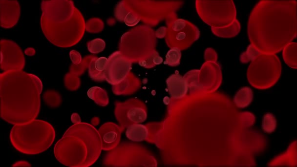 Globules rouges macro — Video