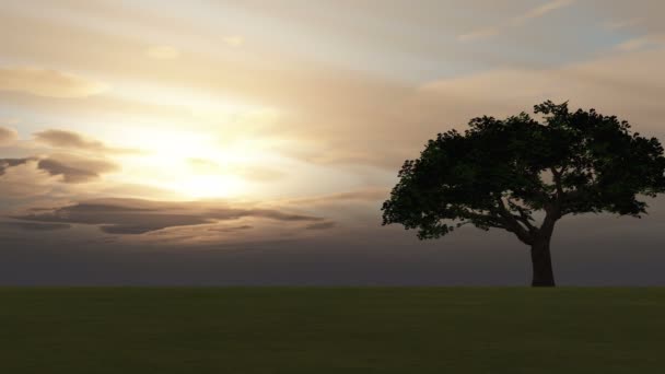 coucher de soleil dans le champ 4k 