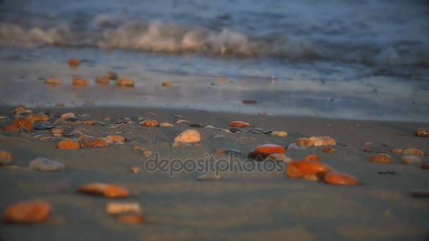 Plage vague rocher ralenti — Video